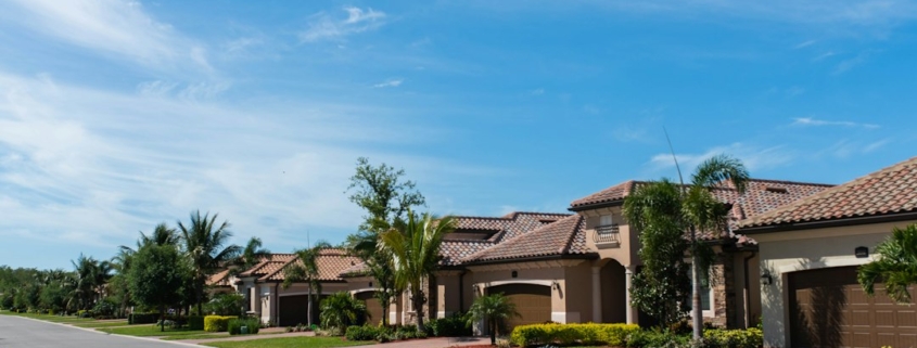Florida suburban homes with palm trees